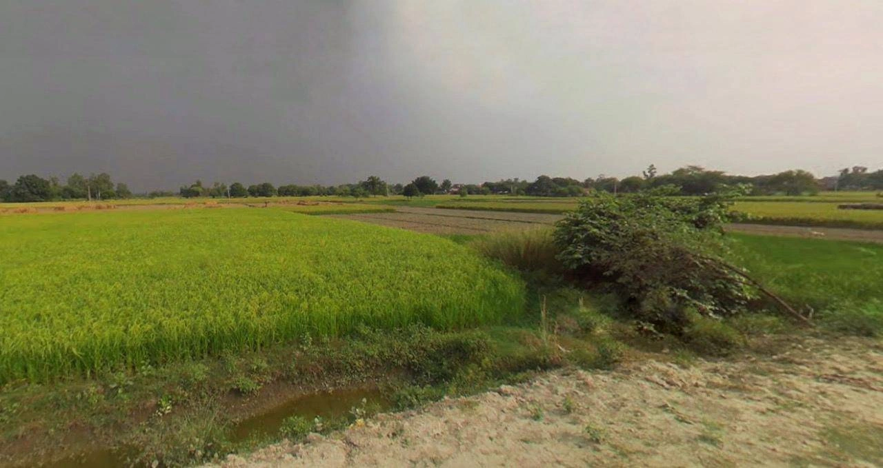 Barnagar, Madhya Pradesh 456771, India