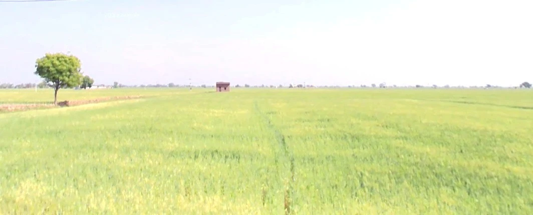 Gopisur Satkunda, Madhya Pradesh, India