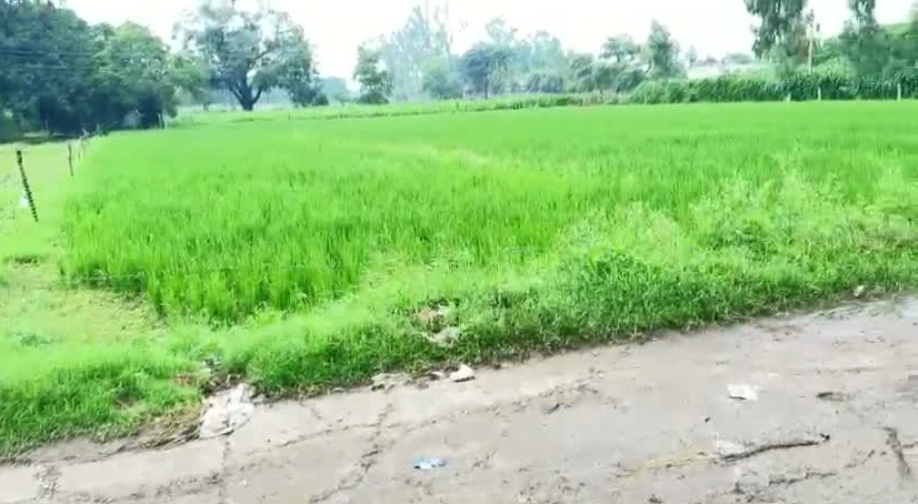 Garh Mukteshwar, Hapur, Uttar Pradesh 245205, India