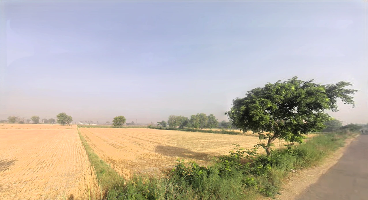 Mandhawali, Haryana 121101, India