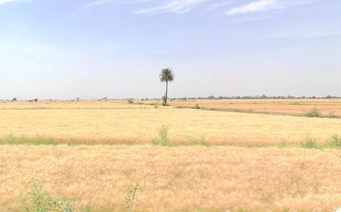 Badagaon, Gwalior, Madhya Pradesh 474006, India