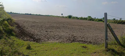 7VVQ+6R Baroni, Tonk, Rajasthan, India preview 3