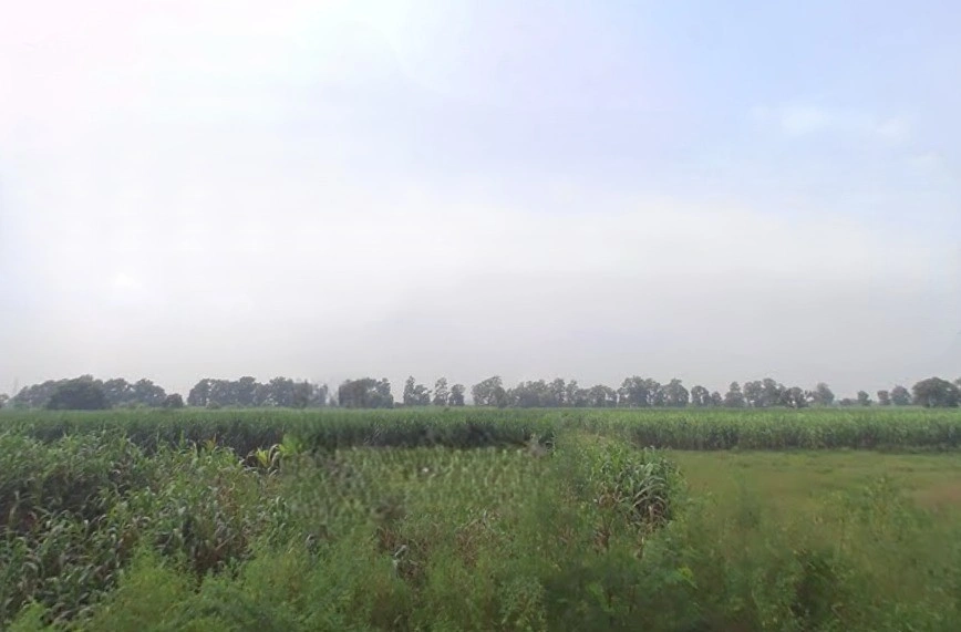 Baraut, Uttar Pradesh 250611, India