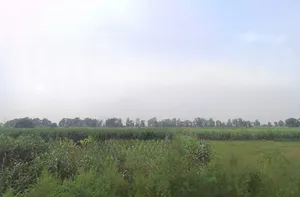 Baraut, Uttar Pradesh 250611, India preview 3