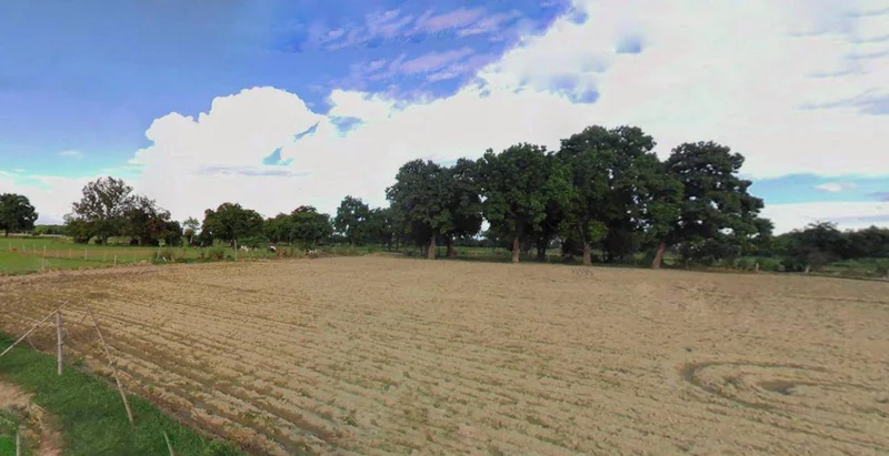 Ingoriya, Madhya Pradesh 456222, India preview 2