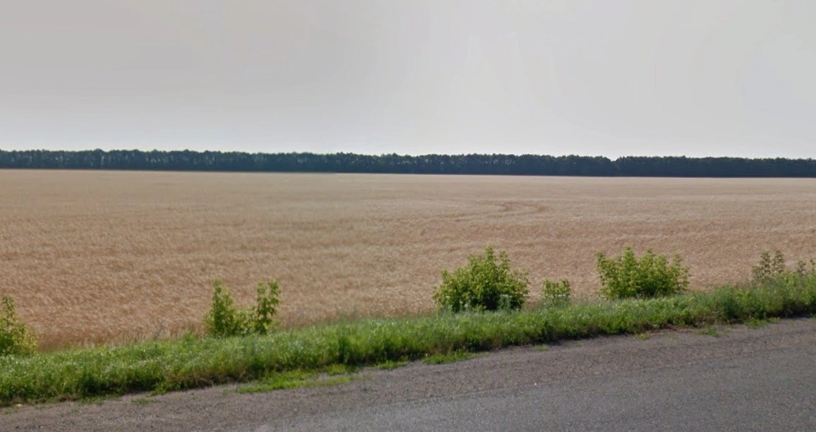 Rania, Uttar Pradesh, India