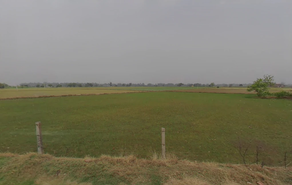 Gurana, Haryana 125005, India