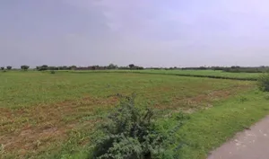 Pahari, Rajasthan, India preview 3