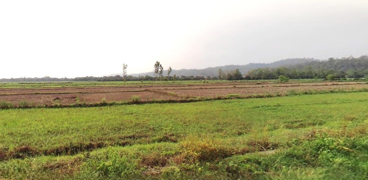 Bazpur, Uttarakhand 262401, India