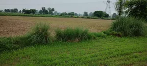 Ronpur, Rajasthan, India preview 2