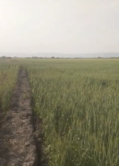 7QRJ+V2 Notara, Bundi, Rajasthan, India preview 3