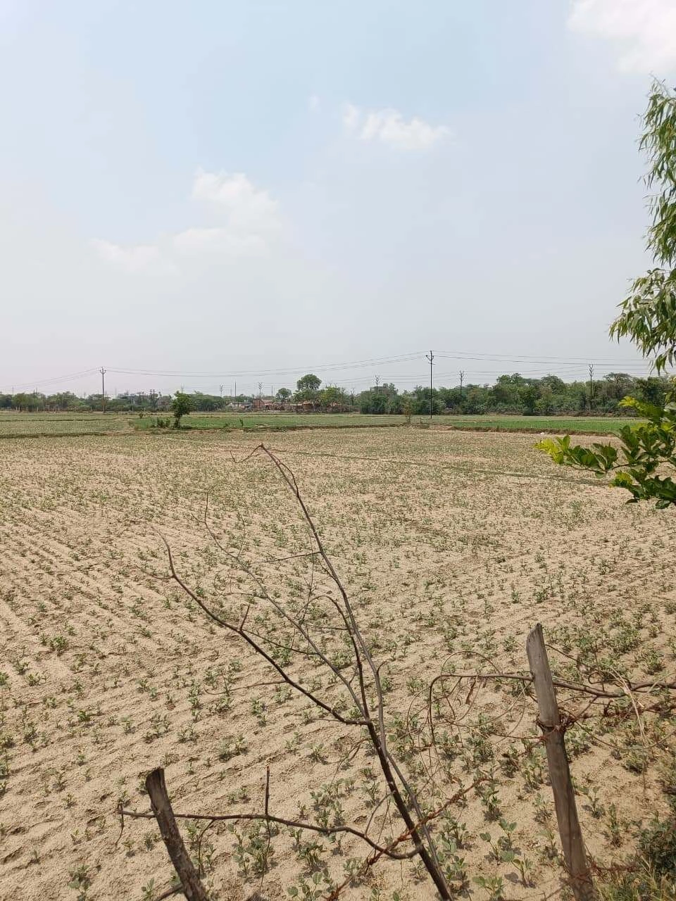 Gharwari, Rajasthan 321201, India