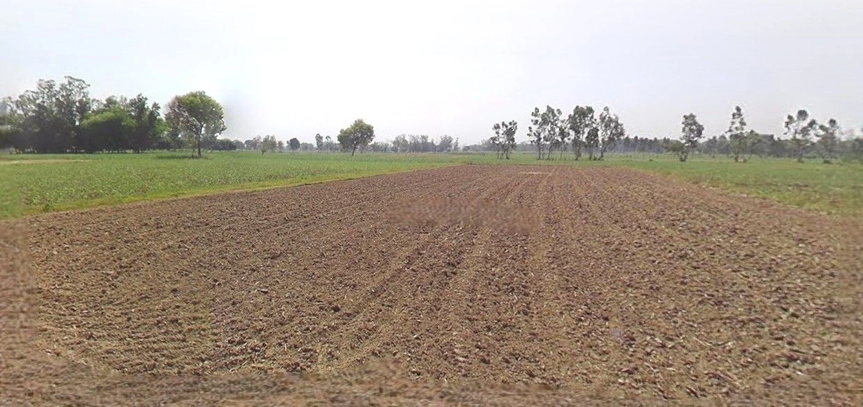 Tanda, Uttar Pradesh 244925, India