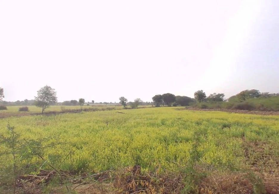 Tisang, Uttar Pradesh 251314, India