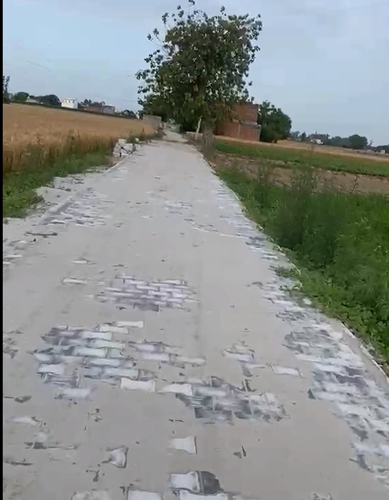 Jandiala Guru, Punjab 143115, India