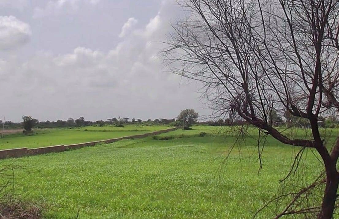 MXHC+XH Rana Kui, Rajasthan, India