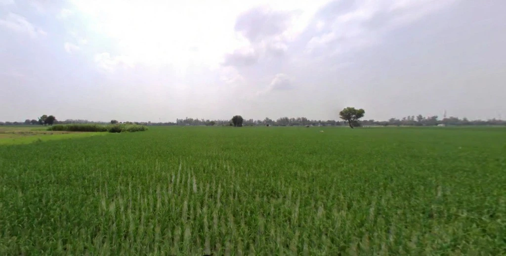 Kutail, Haryana, India