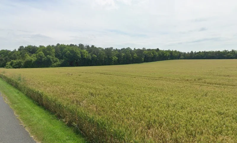 Pandhanya, Madhya Pradesh 451001, India preview 2