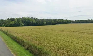 Pandhanya, Madhya Pradesh 451001, India preview 2