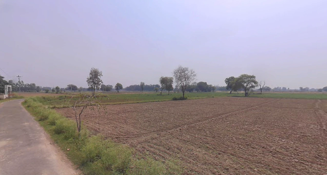 Mawana, Uttar Pradesh, India