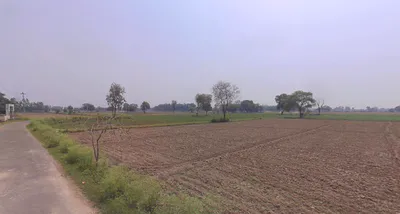Mawana, Uttar Pradesh, India preview 2