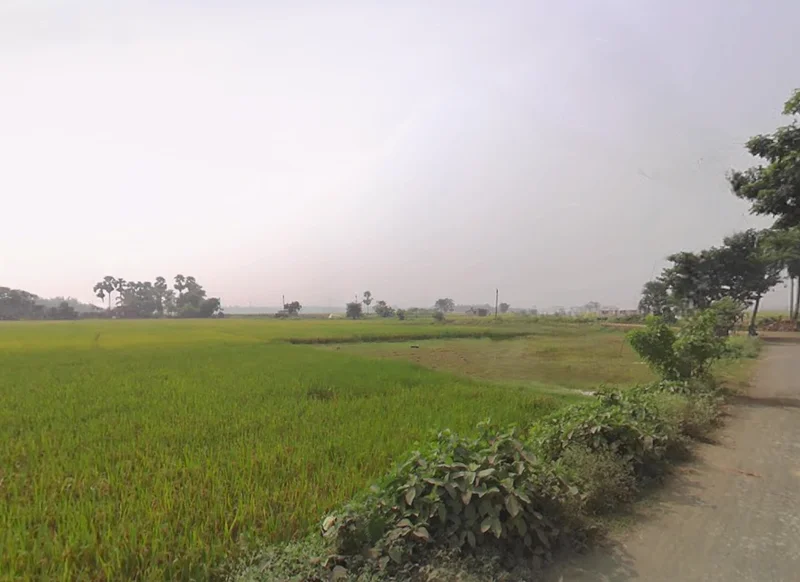 Masagram, West Bengal, India preview 3