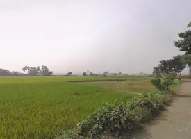 Masagram, West Bengal, India preview 3