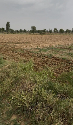 FJ65+C7 Mahwa Kalan, Alwar, Rajasthan, India