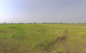 Rasulabad, Uttar Pradesh 209306, India preview 2