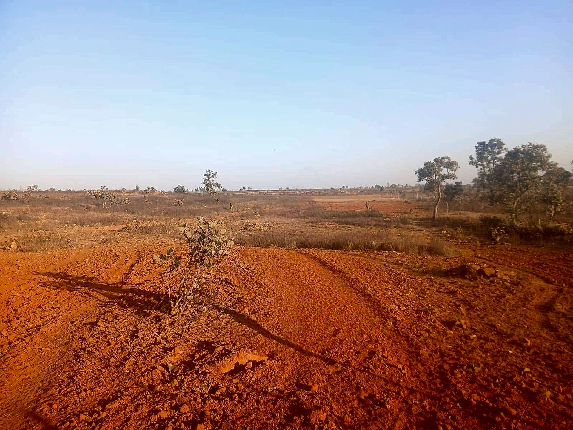 Shankarpur, Madhya Pradesh, India
