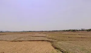 Amjora, Jharkhand 835204, India preview 3