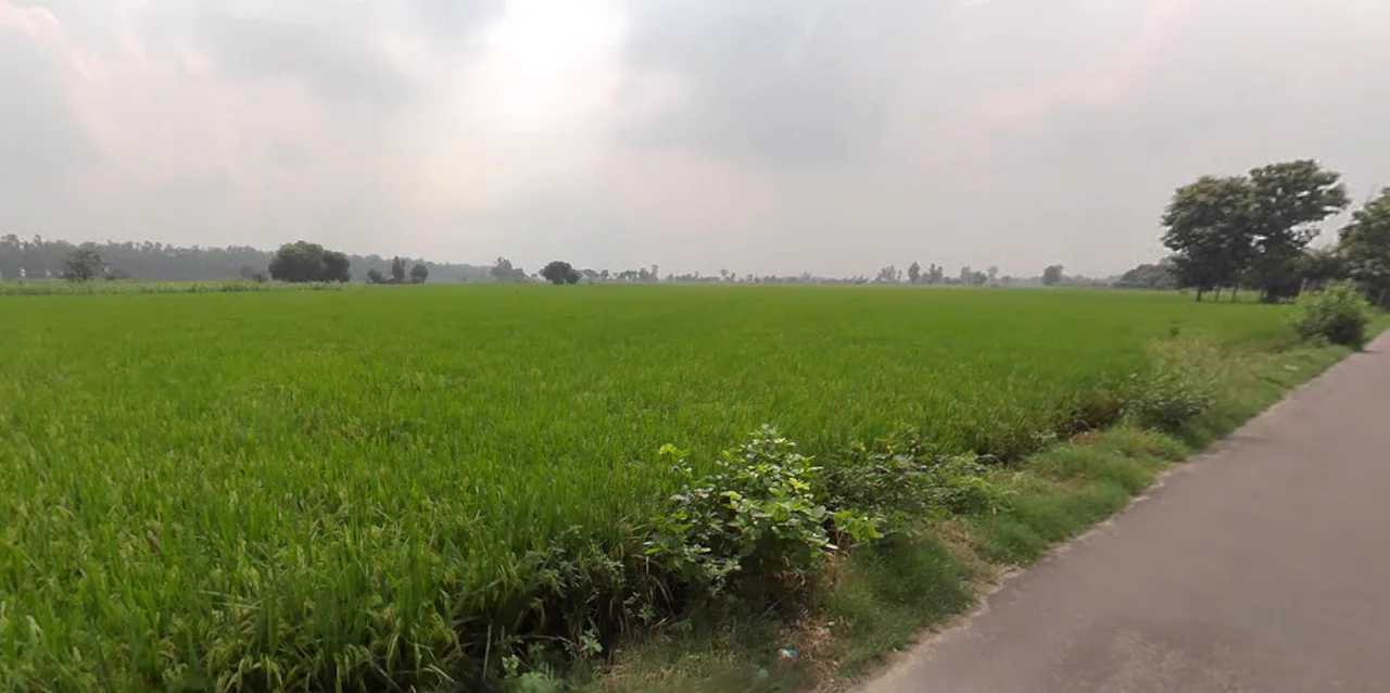 Landha, Punjab 141421, India preview 3