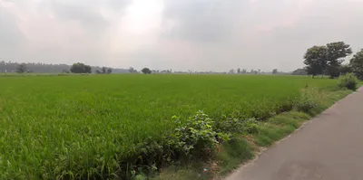Landha, Punjab 141421, India preview 3