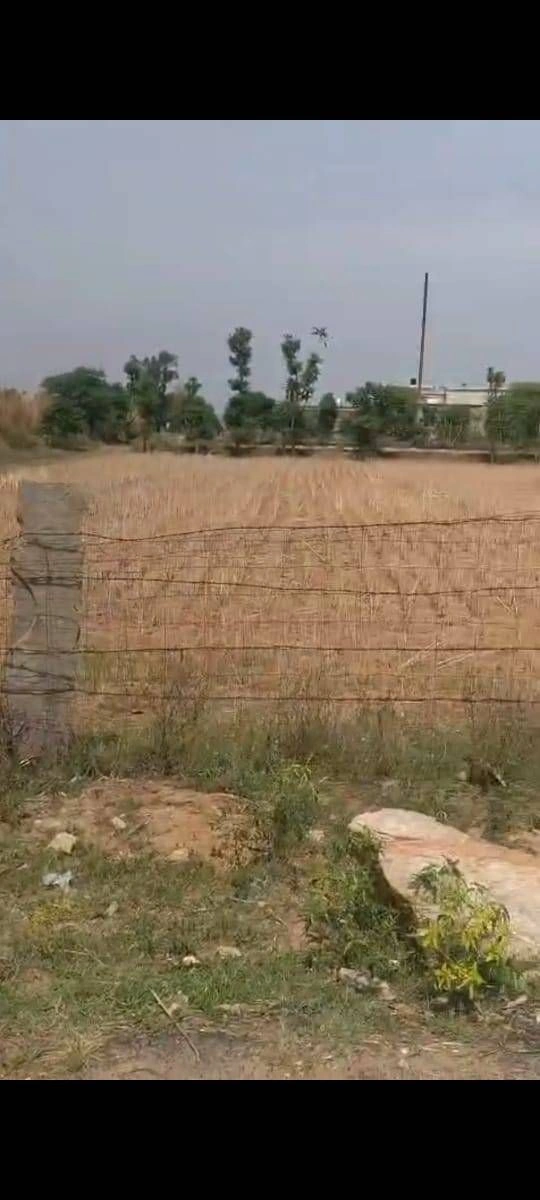 MJ8R+F48, Gopal Nagar, Rajasthan, India