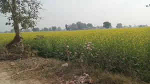 Ghat, Rajasthan, India preview 3
