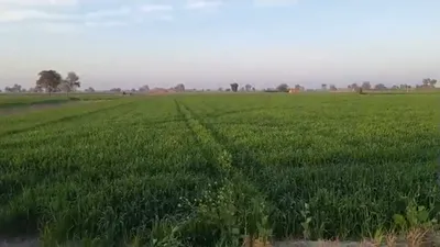 P64V+23V, Hanumangarh, Hirnawali, Rajasthan 335064, India preview 2