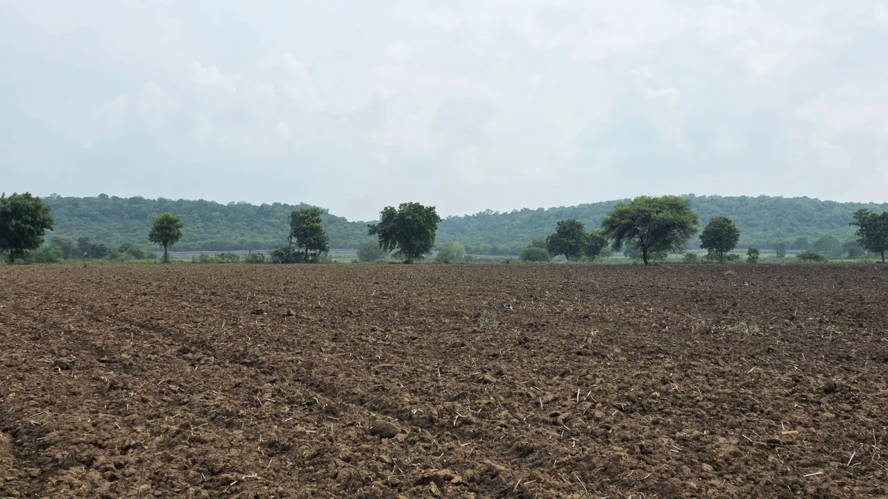 Gohinda, Gwalior, Madhya Pradesh 475220, India