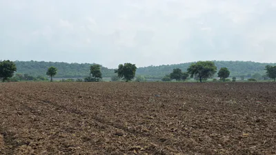 Gohinda, Gwalior, Madhya Pradesh 475220, India preview 3