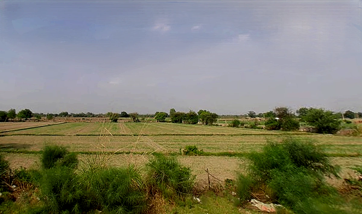 Chhatikara, Uttar Pradesh 281504, India