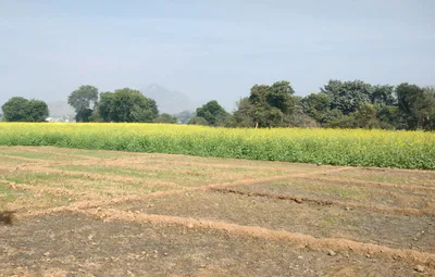 Rojka, Gujarat 382460, India preview 3