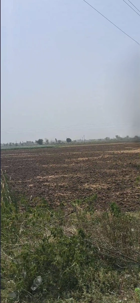 Berchha, Madhya Pradesh 465110, India preview 2