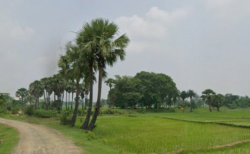 MC95+GGR, Deorbeeja, Chhattisgarh 491993, India