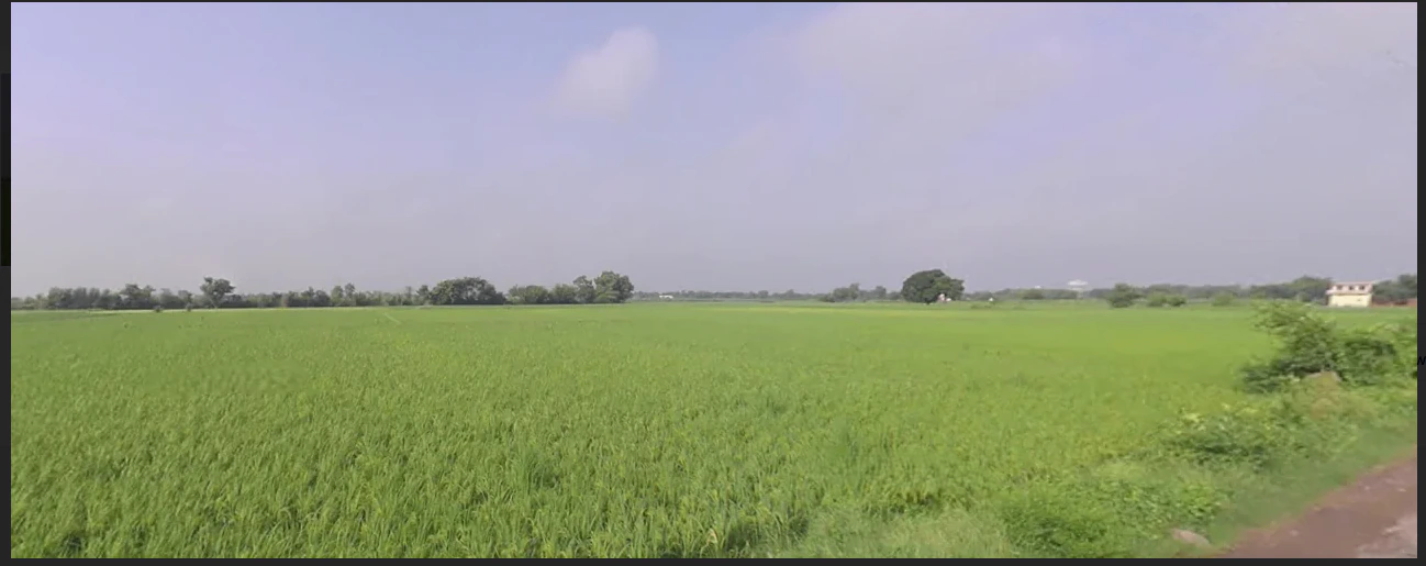 Solda - Jewer Rd, Jewar, Uttar Pradesh, India