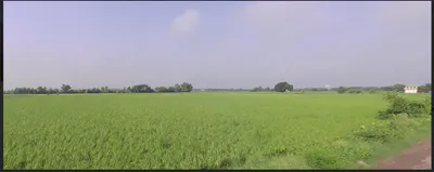 Solda - Jewer Rd, Jewar, Uttar Pradesh, India preview 3