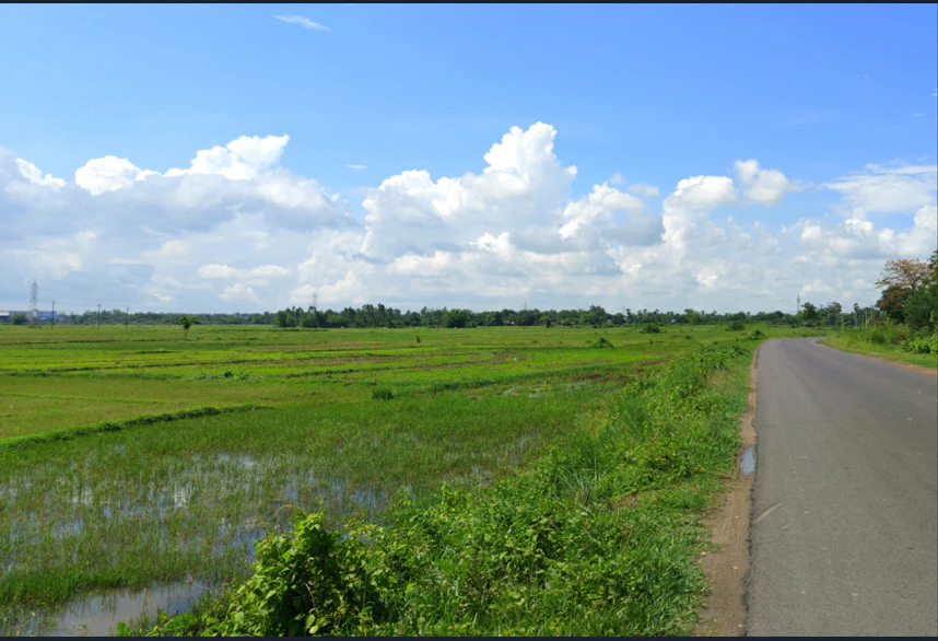 Kosa, Chhattisgarh, India