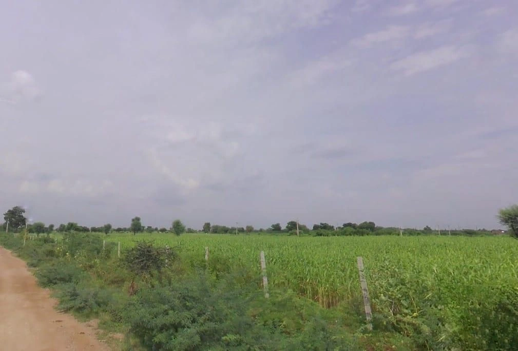 VF5J+V2, Jadan, Rajasthan 306401, India
