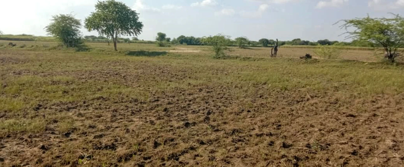 Bandhwari, Haryana, India