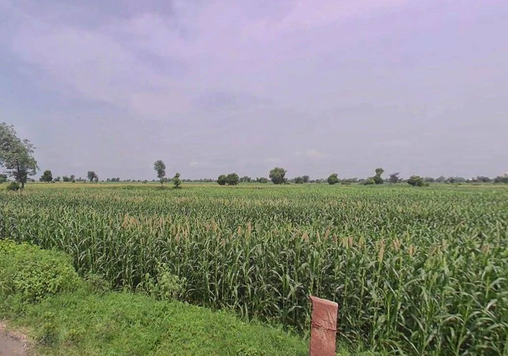 Halena, Rajasthan 321601, India