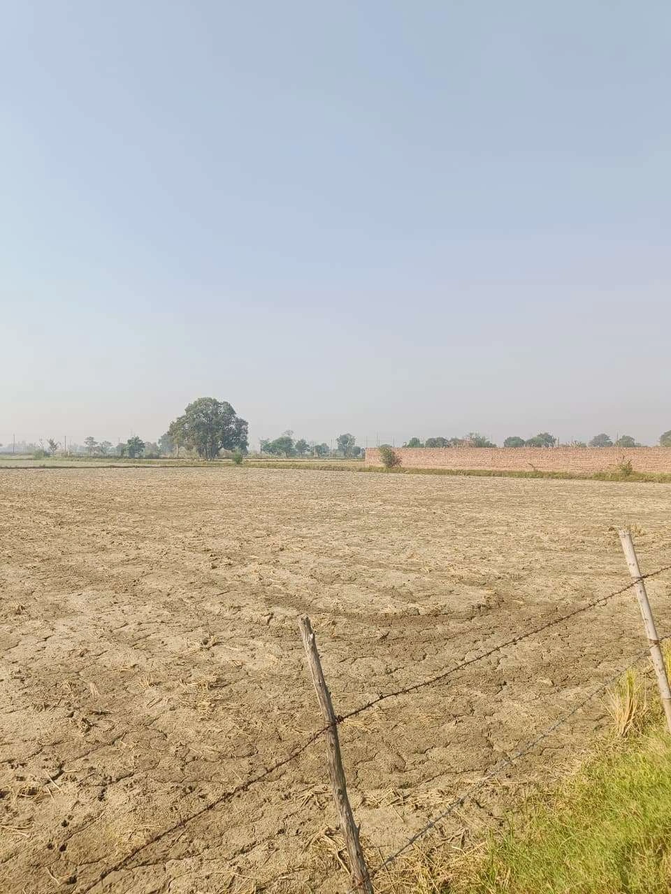 Barhana, Mathura, Uttar Pradesh, India