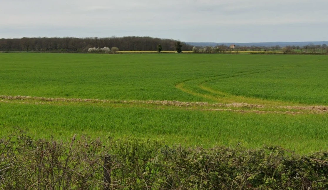 Pipalgone, Madhya Pradesh 451228, India